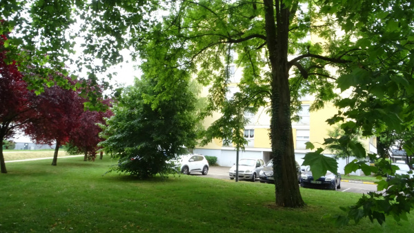 Offres de vente Appartement Chevigny-Saint-Sauveur 21800
